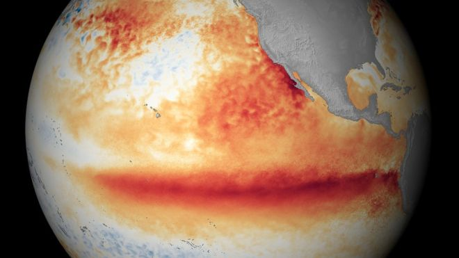 El Niño Forecast